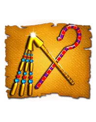 Sticks
