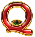 Q symbol