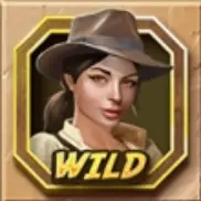 Wild symbol