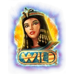 Wild symbol